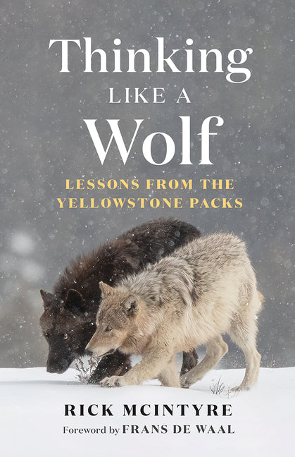 Thinking Like a Wolf: Lessons from the Yellowstone Packs Greystone Books