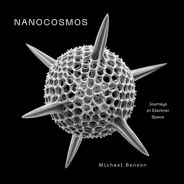Nanocosmos: Journeys in Electron Space Abrams Books